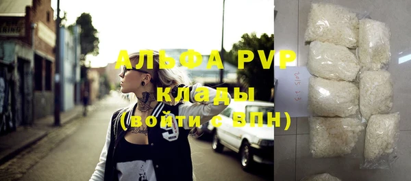 индика Аркадак