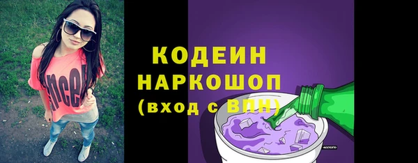 индика Аркадак