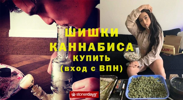 индика Аркадак