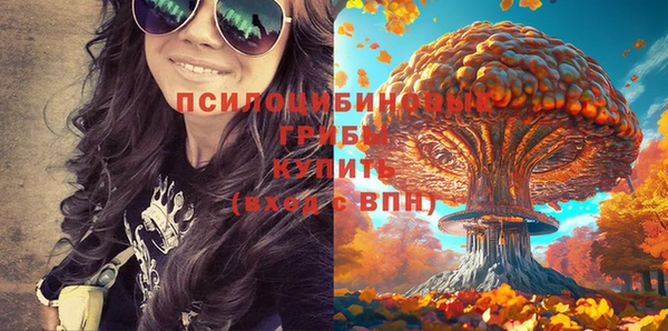 мяу мяу мука Армянск