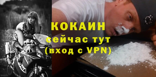 дживик Арсеньев