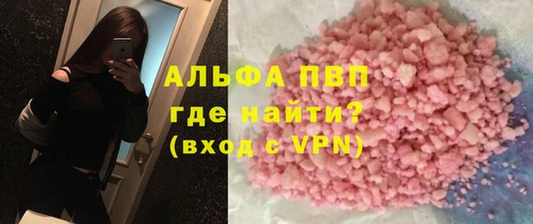 индика Аркадак