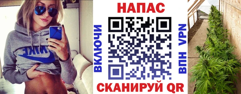 Каннабис VHQ Кубинка